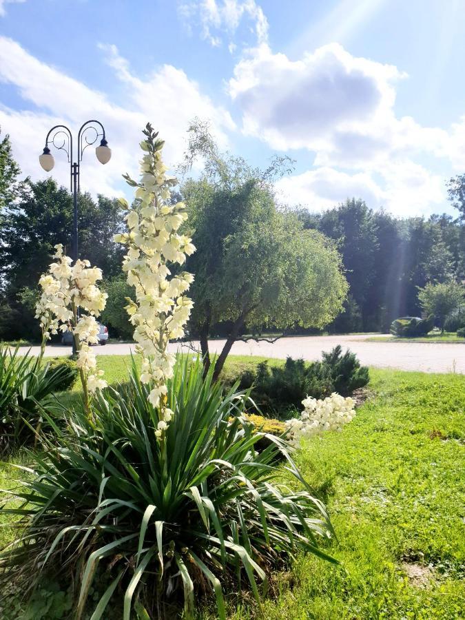 Willa Park Островец-Свентокшиский Экстерьер фото